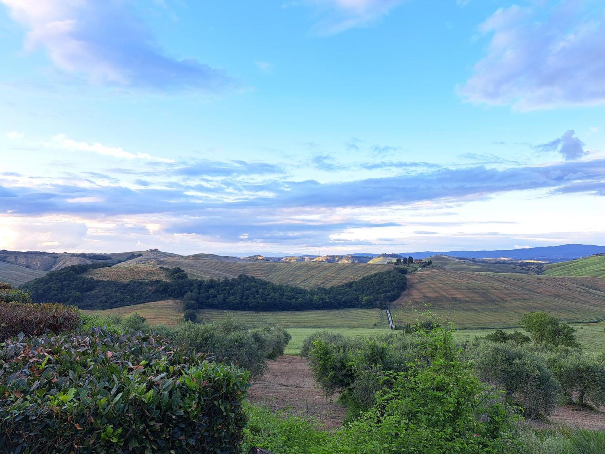 Agriturismo Caliano Asciano Dış mekan fotoğraf