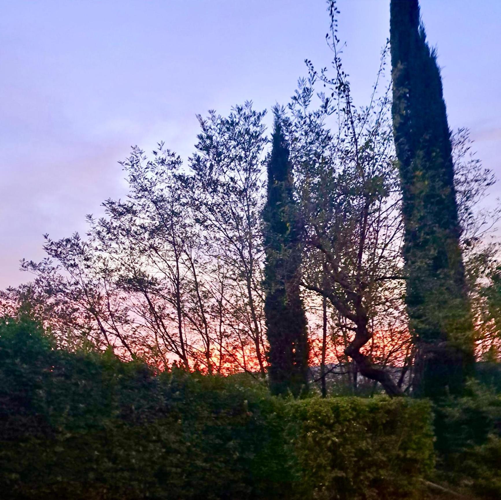 Agriturismo Caliano Asciano Dış mekan fotoğraf
