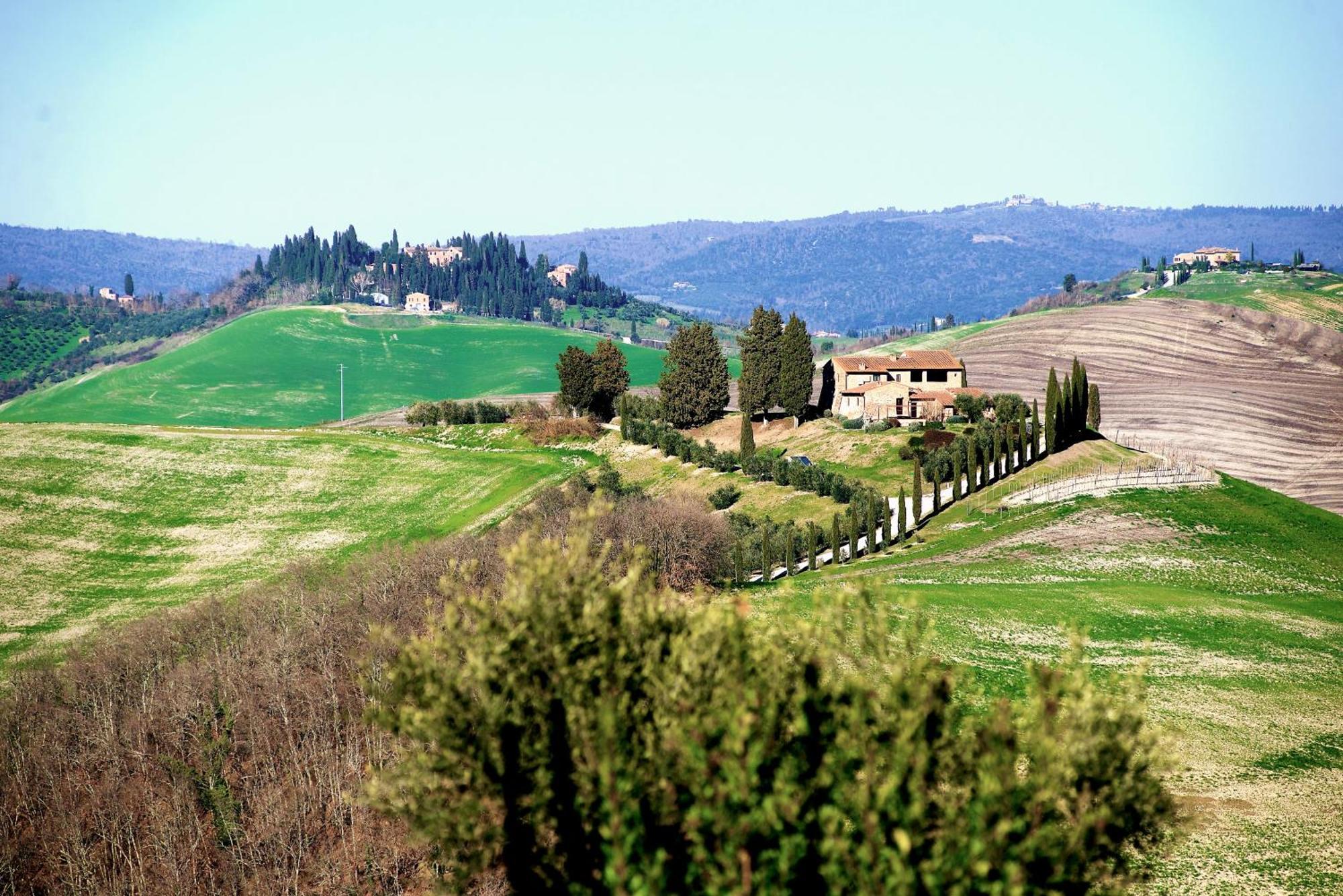 Agriturismo Caliano Asciano Dış mekan fotoğraf