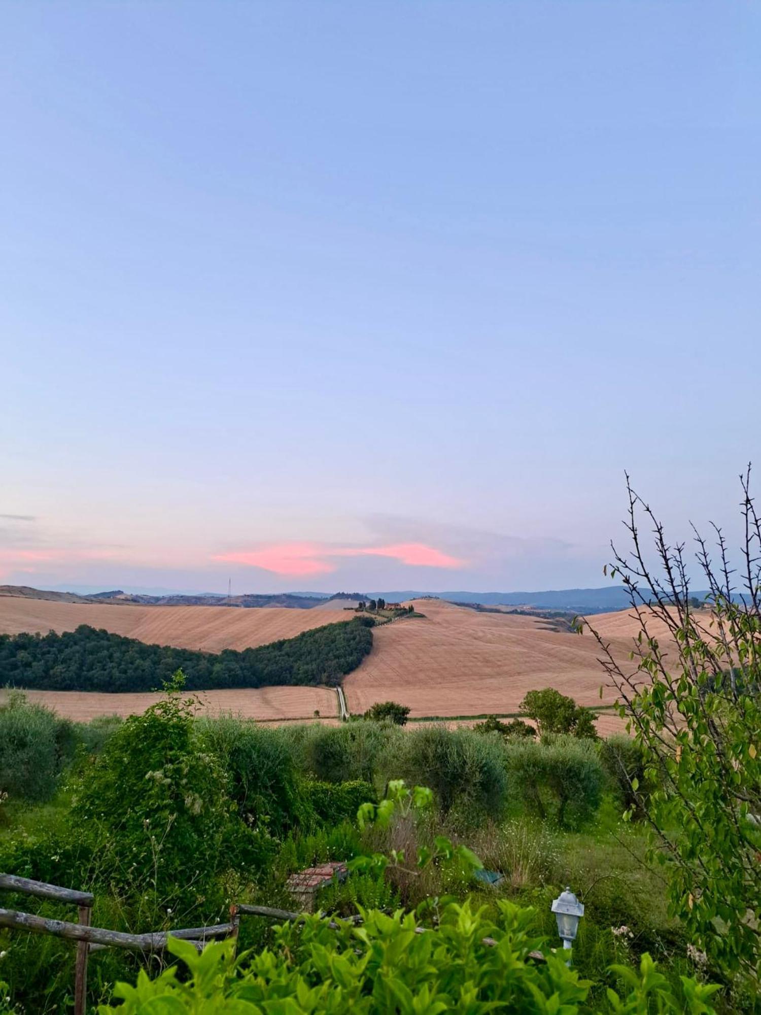Agriturismo Caliano Asciano Dış mekan fotoğraf