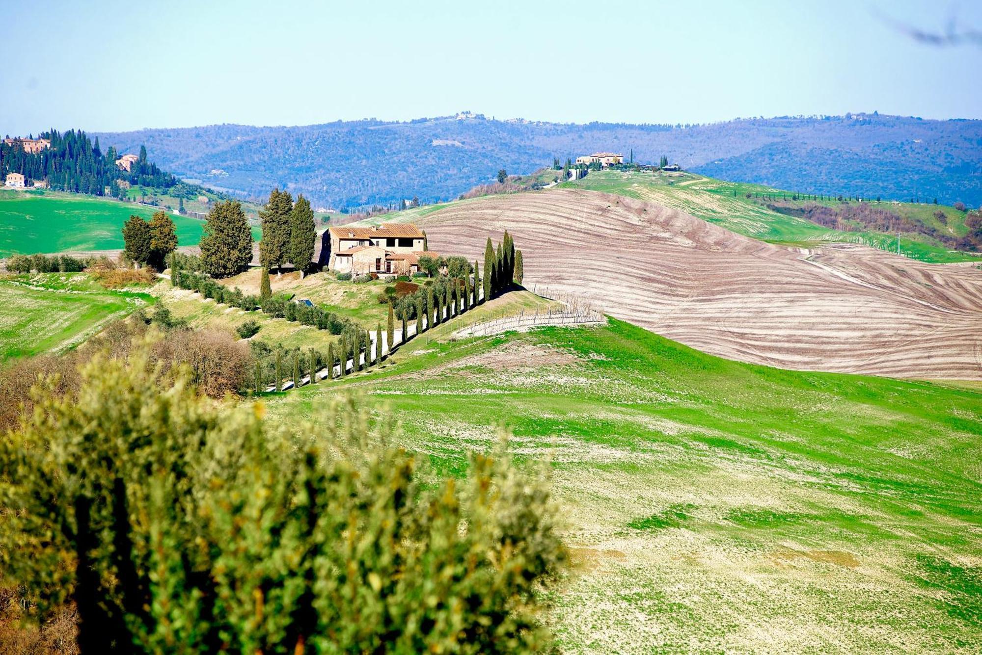 Agriturismo Caliano Asciano Dış mekan fotoğraf